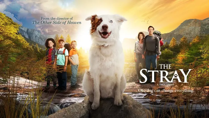 The Stray - El Enviado de Dios (2017) - 1080p