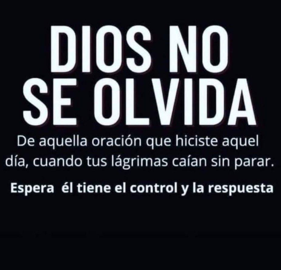 Divina Misericordia - Dios Jamas Olvida A Su Tiempo Lo Veras 1
