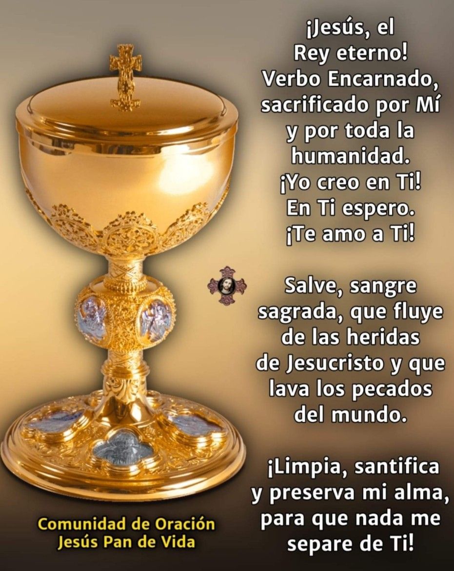 Divina Misericordia - Divina Misericordia