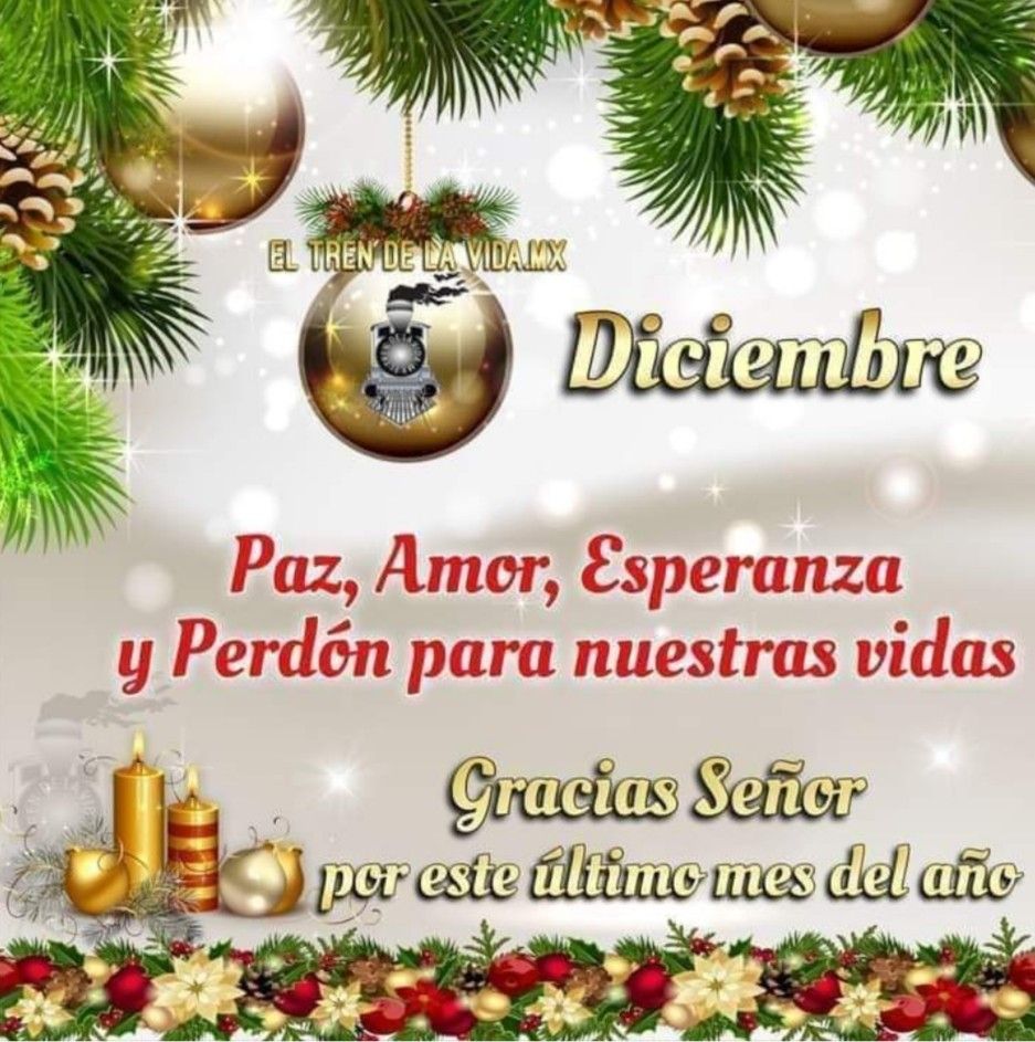 Divina Misericordia - Feliz Mes De La Navidad 1