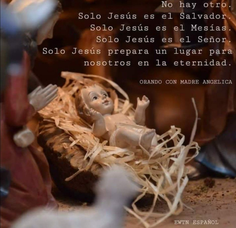 Divina Misericordia - Solo Tu Senor Jesus