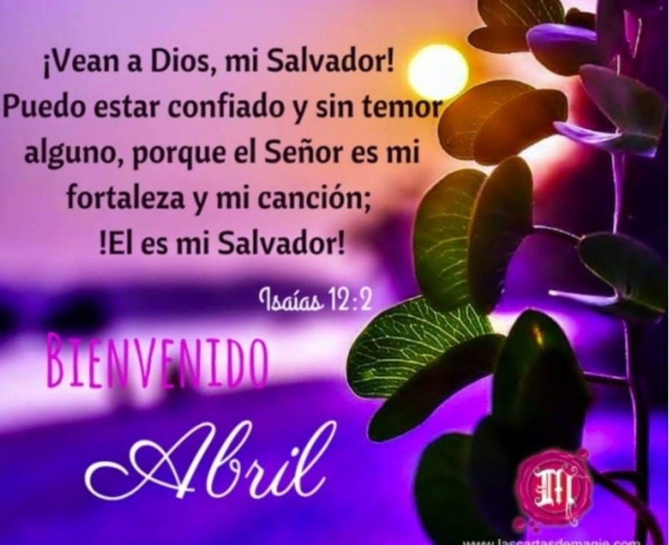 Divina Misericordia - Victoria En Cristo 2