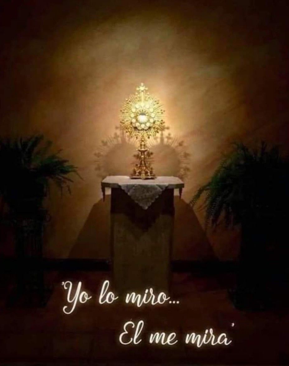 Divina Misericordia - Yo Lo Miro El Me Mira