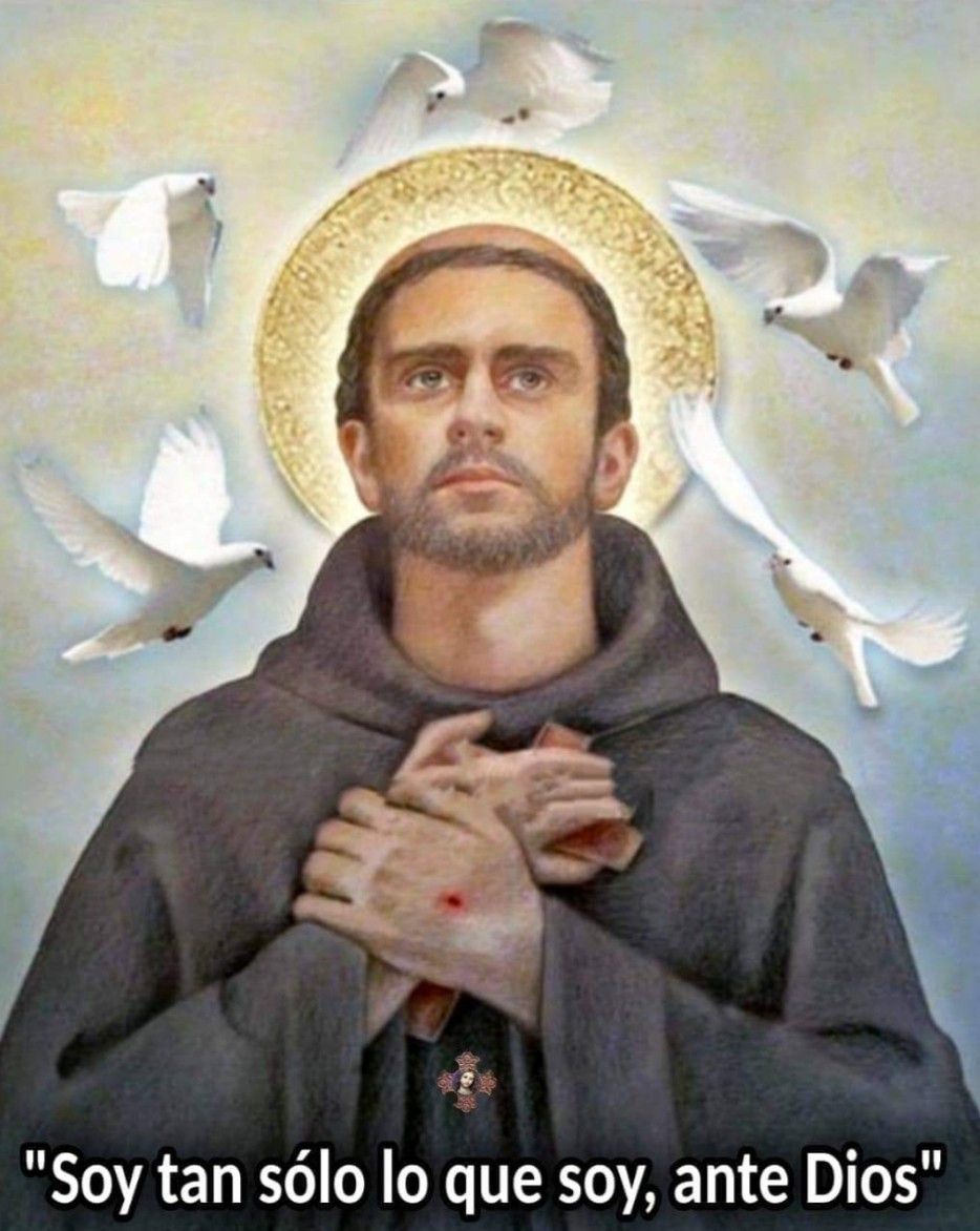 San Francisco de Asis - Evangelio Viviente Herido Por Amor A Cristollevaste En Tu Cu