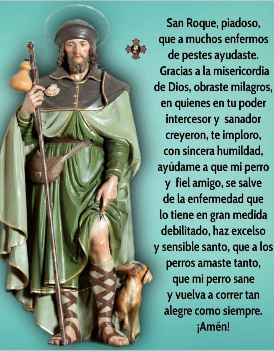 San Roque - San Roque Piadosoexcelso Y Sensible Santo