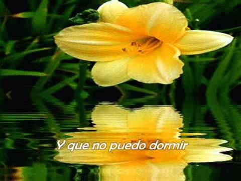 Virgencita del Rosario de San Nicolas - Si Ves A Mi Amado Lilly Goodman